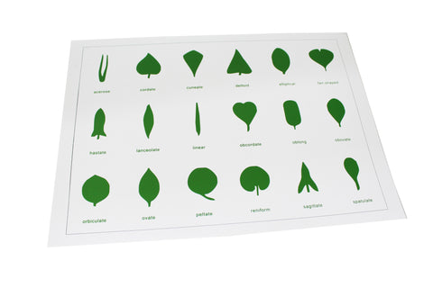 Botany Leaf Cabinet Control Chart (18 Shapes)