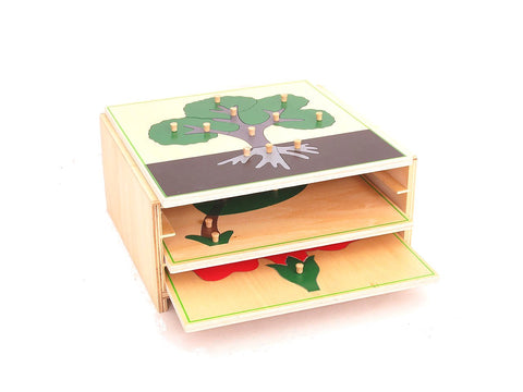 3 Botany Puzzles & Cabinet