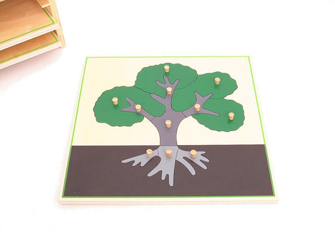 Montessori materials 3 Botany Puzzles & Cabinet – Pink Montessori