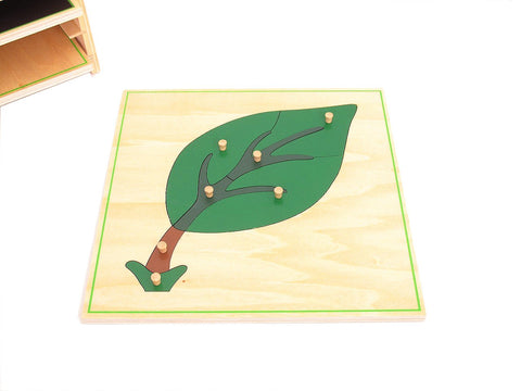 Montessori materials 3 Botany Puzzles & Cabinet – Pink Montessori