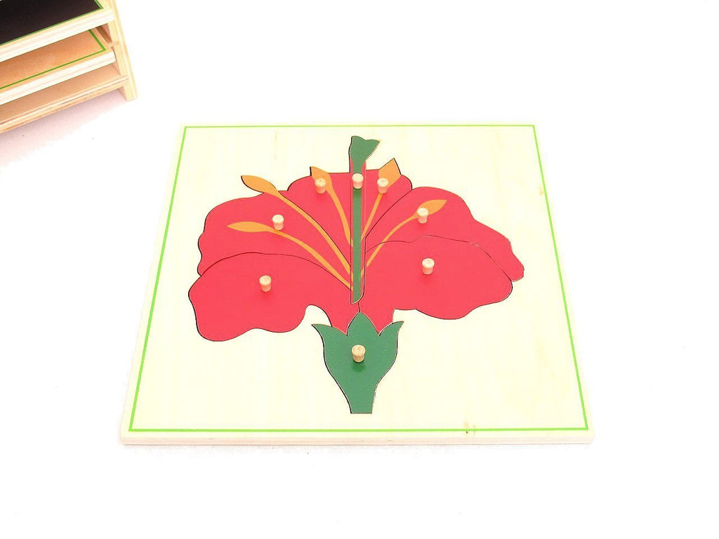 Parts of a Flower Puzzle