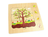 Tree Life-Cycle Puzzle