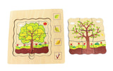 Tree Life-Cycle Puzzle