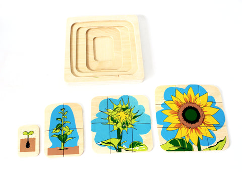 PinkMontesori Flower Life-Cycle Puzzle - Pink Montessori Montessori Material for sale @ pinkmontessori.com