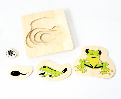 PinkMontesori Frog Life-Cycle Puzzle - Pink Montessori Montessori Material for sale @ pinkmontessori.com