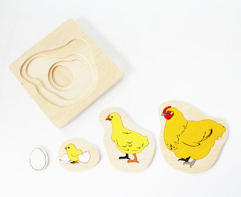 PinkMontesori Chicken Life-Cycle Puzzle - Pink Montessori Montessori Material for sale @ pinkmontessori.com