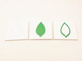 PinkMontesori Botany Leaf Cards - Pink Montessori Montessori Material for sale @ pinkmontessori.com - 1