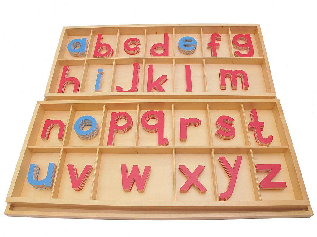PinkMontesori Large Movable Alphabets ( Print ) with Boxes - Pink Montessori Montessori Material for sale @ pinkmontessori.com - 1