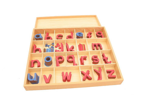 PinkMontesori Small Movable Alphabets - Pink Montessori Montessori Material for sale @ pinkmontessori.com