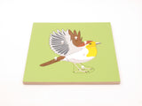 PinkMontesori Bird Skeleton Puzzle - Pink Montessori Montessori Material for sale @ pinkmontessori.com - 2