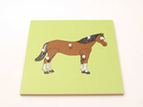 PinkMontesori Horse Skeleton Puzzle - Pink Montessori Montessori Material for sale @ pinkmontessori.com - 2