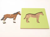 PinkMontesori Horse Skeleton Puzzle - Pink Montessori Montessori Material for sale @ pinkmontessori.com - 1