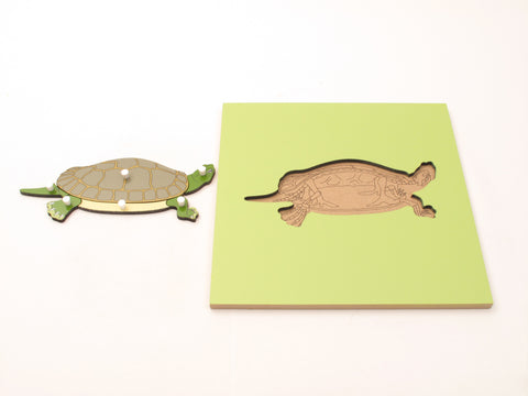 PinkMontesori Turtle Skeleton Puzzle - Pink Montessori Montessori Material for sale @ pinkmontessori.com - 1