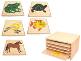 5 Zoology Puzzles & Cabinet