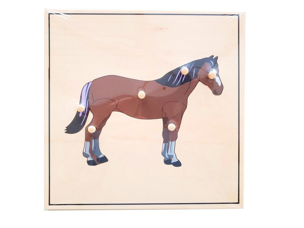 Horse Skeleton Puzzle (new)