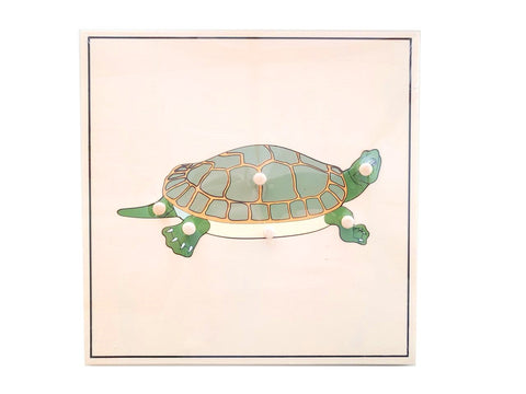 Turtle Skeleton Puzzle (new)