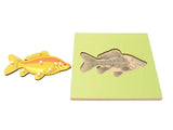 PinkMontesori Fish Skeleton Puzzle - Pink Montessori Montessori Material for sale @ pinkmontessori.com - 2
