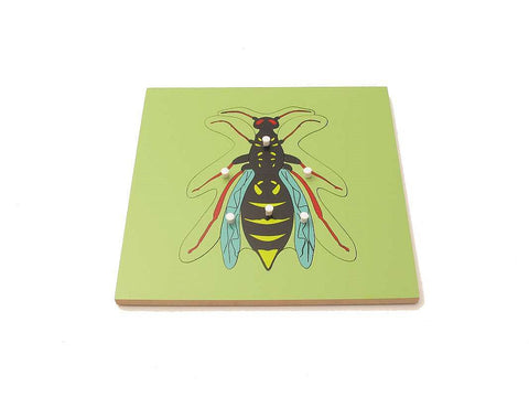 PinkMontesori Wasp Puzzle - Pink Montessori Montessori Material for sale @ pinkmontessori.com - 1