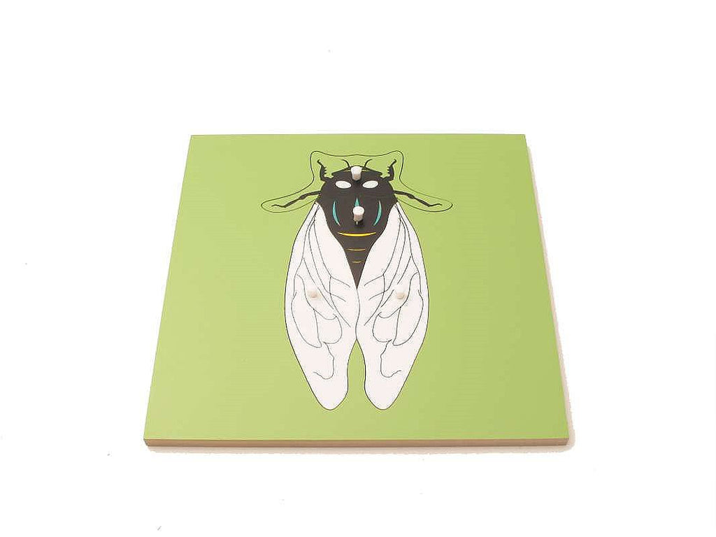 PinkMontesori Fly Puzzle - Pink Montessori Montessori Material for sale @ pinkmontessori.com - 1