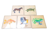 5 Zoology Animal Skeleton Puzzles & Cabinet (new)